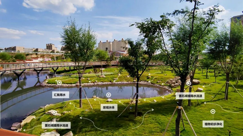 “会呼吸”的城市——海绵城市内容详解- “会呼吸”的城市——海绵城市内容详解-